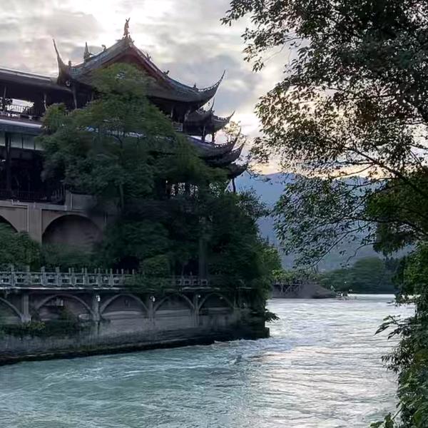 文大哥