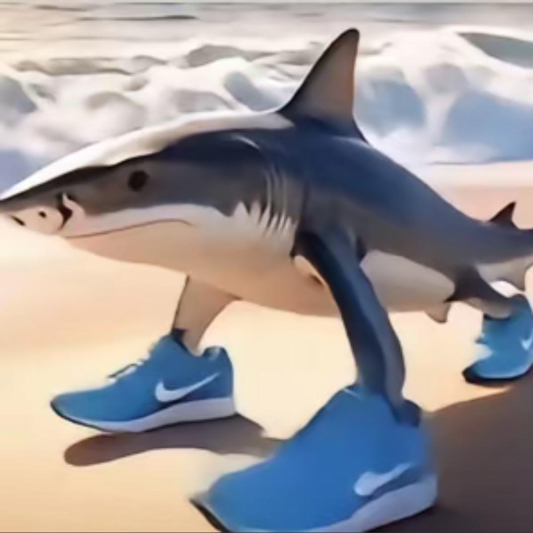 Nikeshark(要破1万粉)