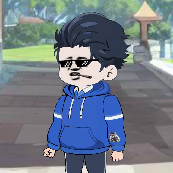 雕毛阿海