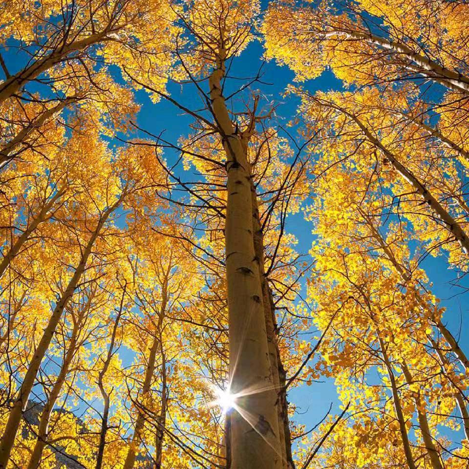 走到那里看到那