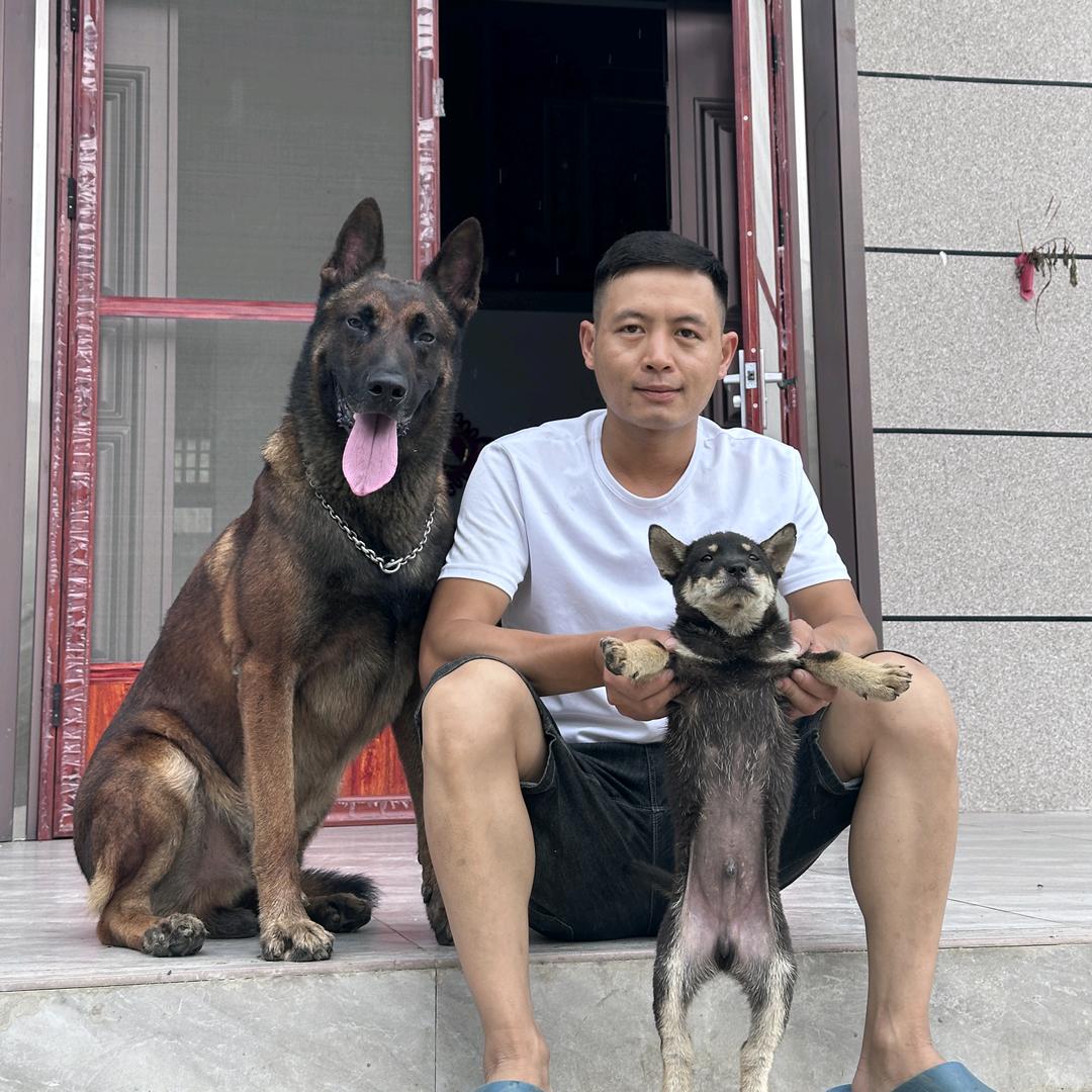 广西田园犬之家