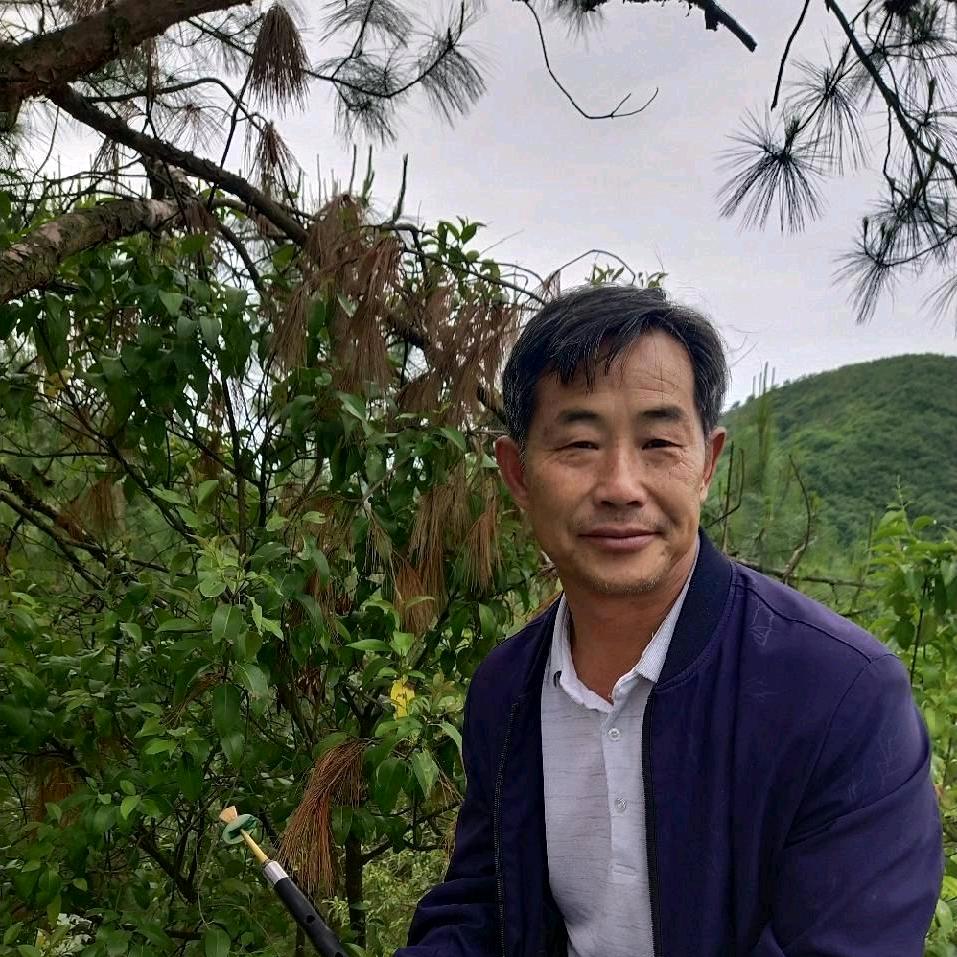 大地飞歌