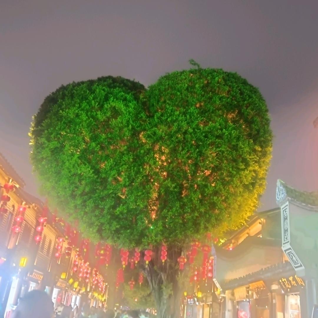 心语心愿