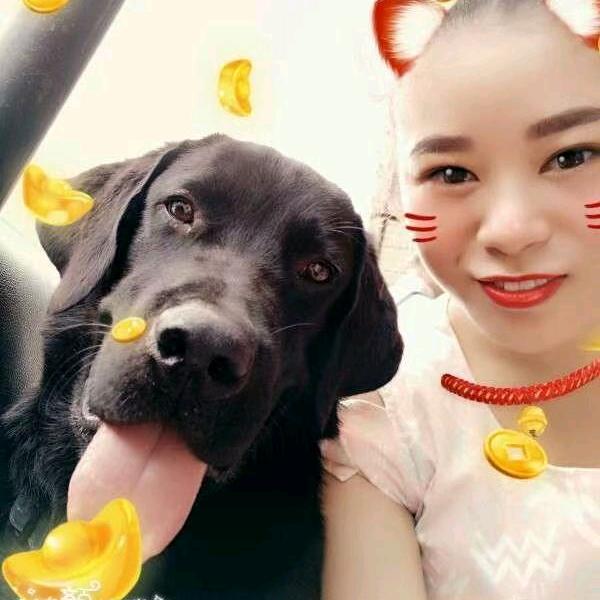 怀恋
