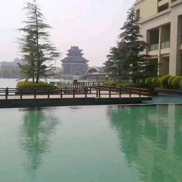 苏苏