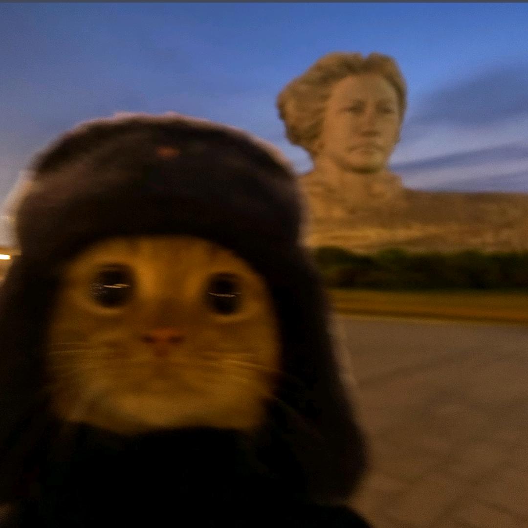 天赋怪🦉