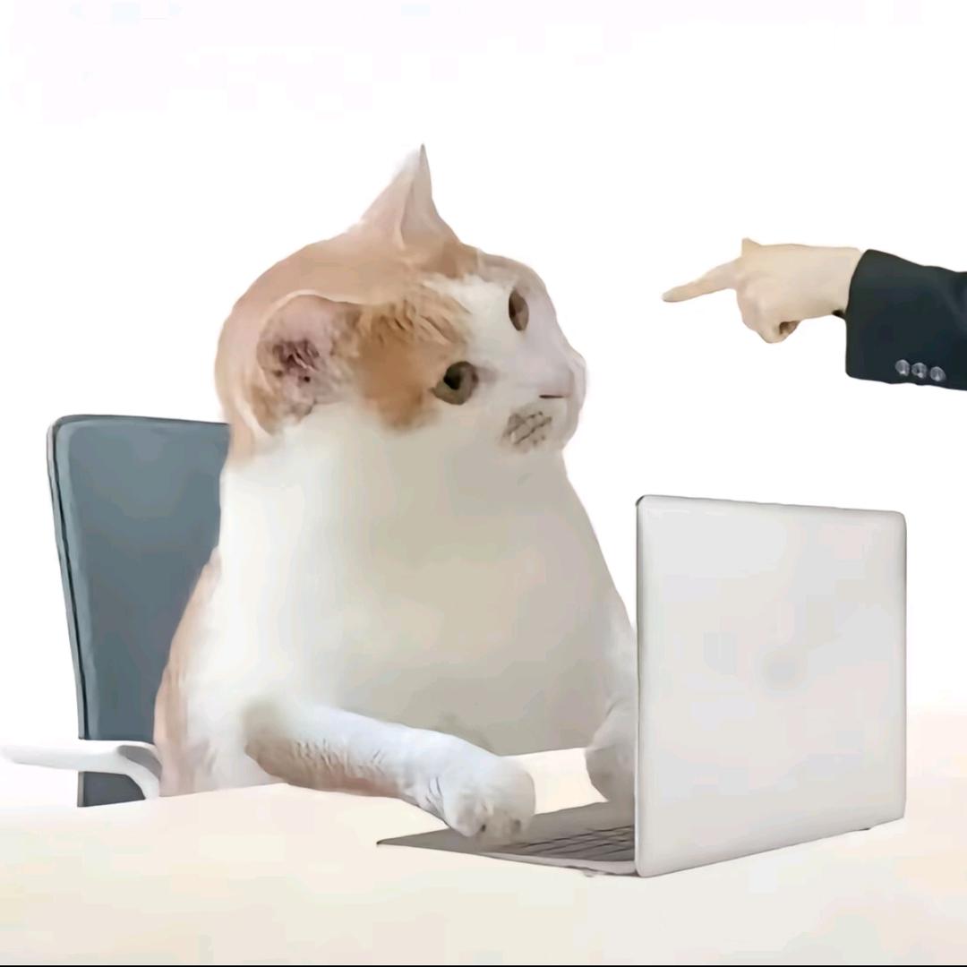 怎么滴？