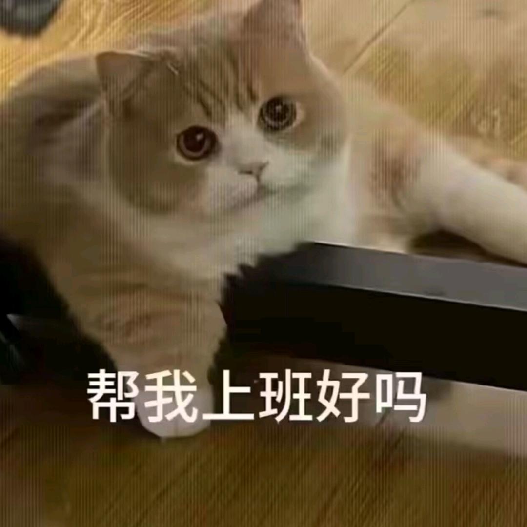 半夜偷穿花裤衩