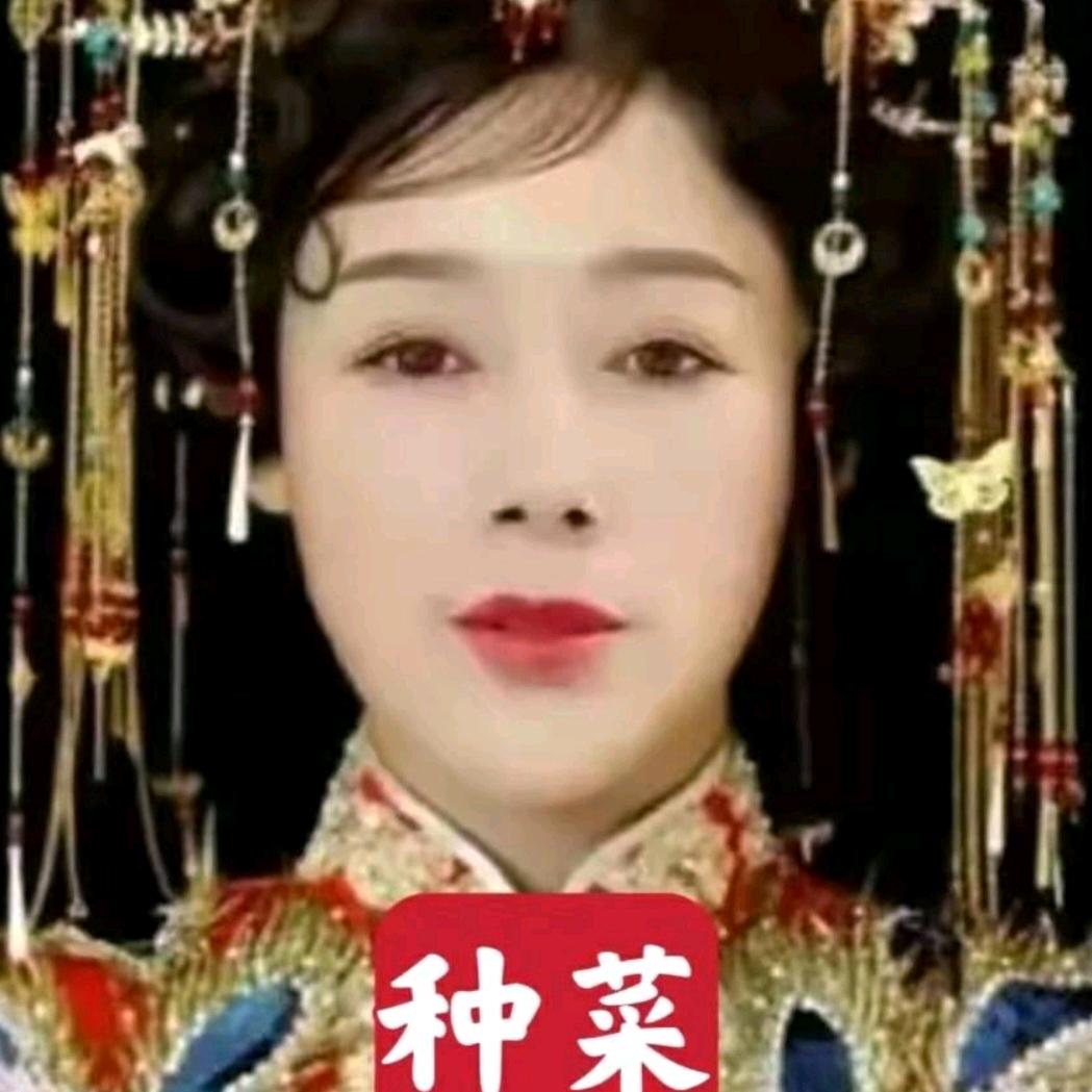 八月桂花香67，种菜