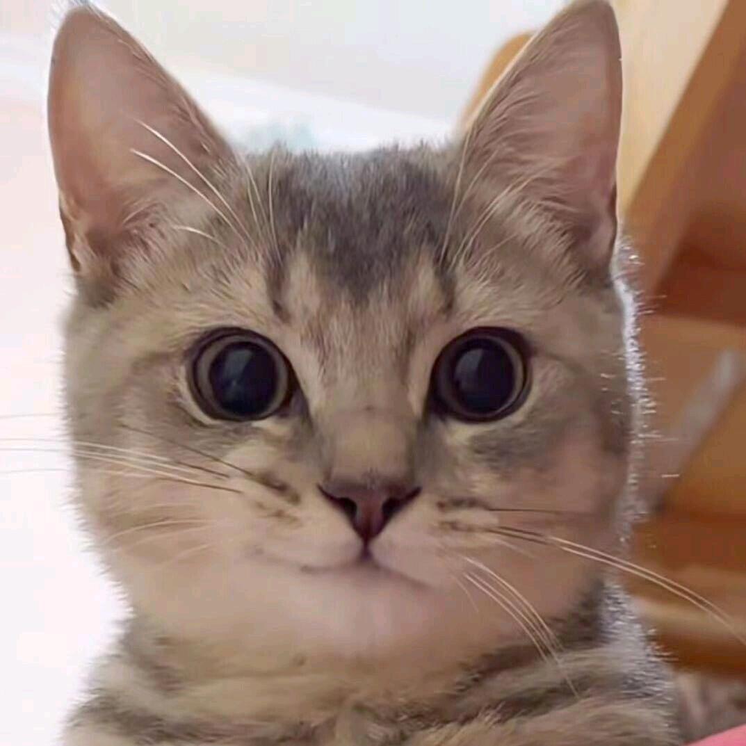 波力海苔夹心脆