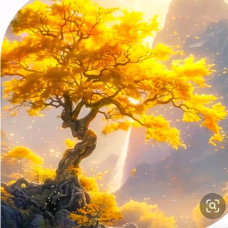 💰暴富🍎🍒暴美💰