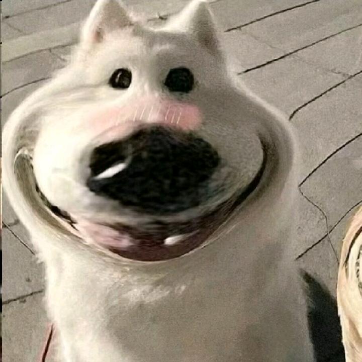 搞笑涵头像