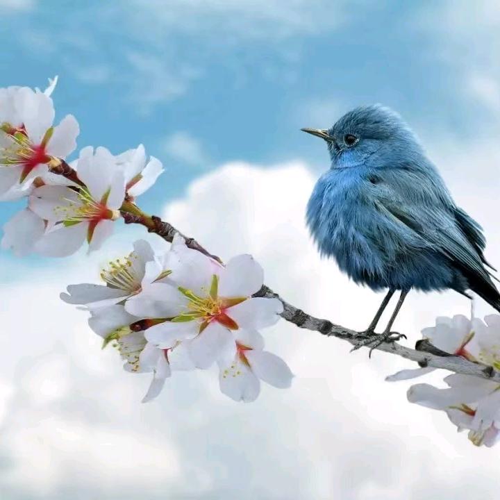 温柔半两