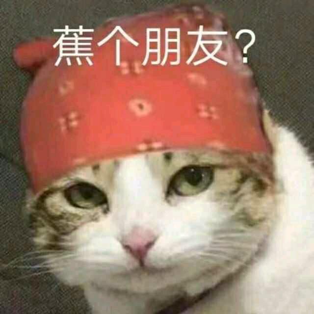不使茅屋为秋风所破头像