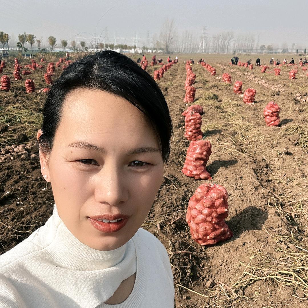 河南~艳子（助农）