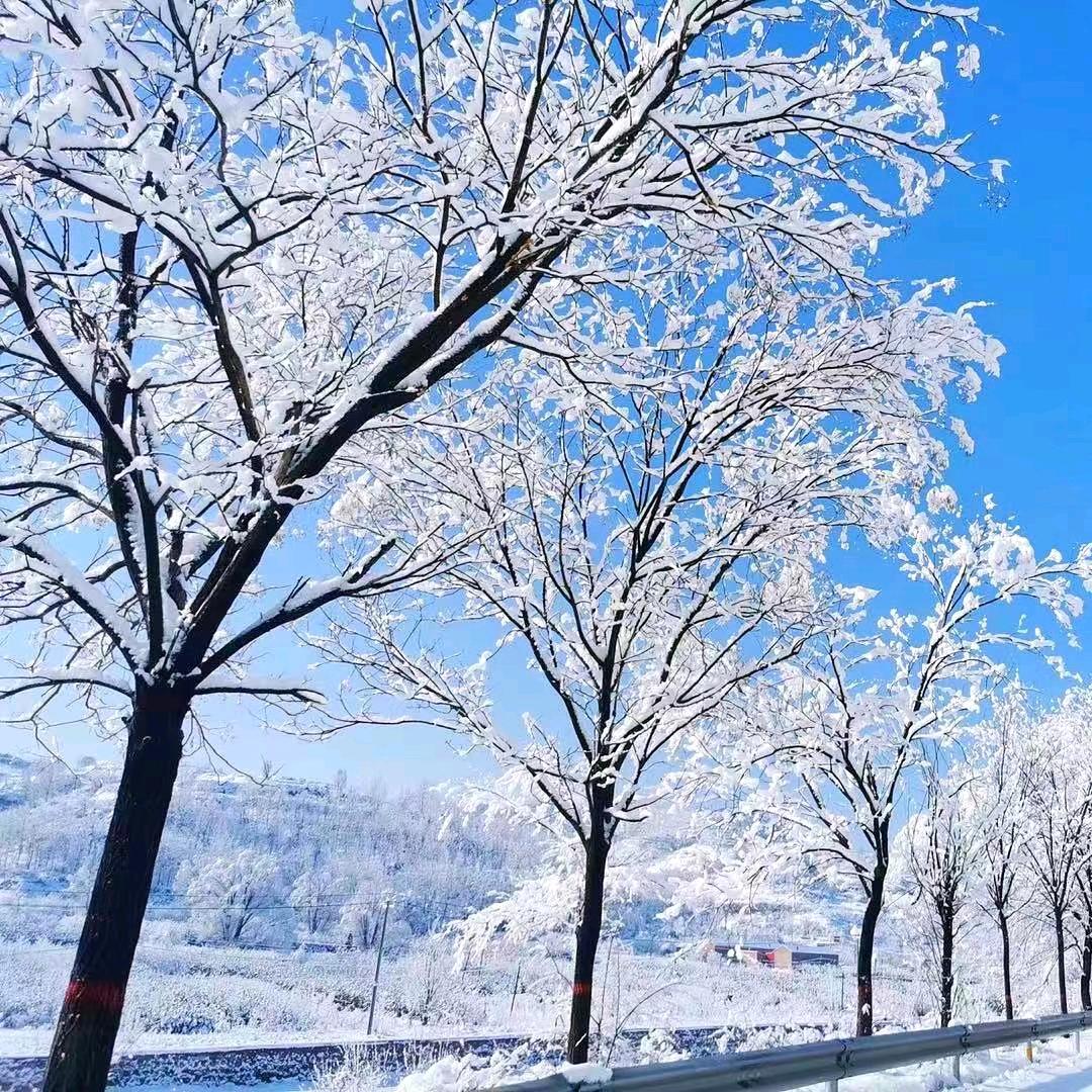 璀璨如梦