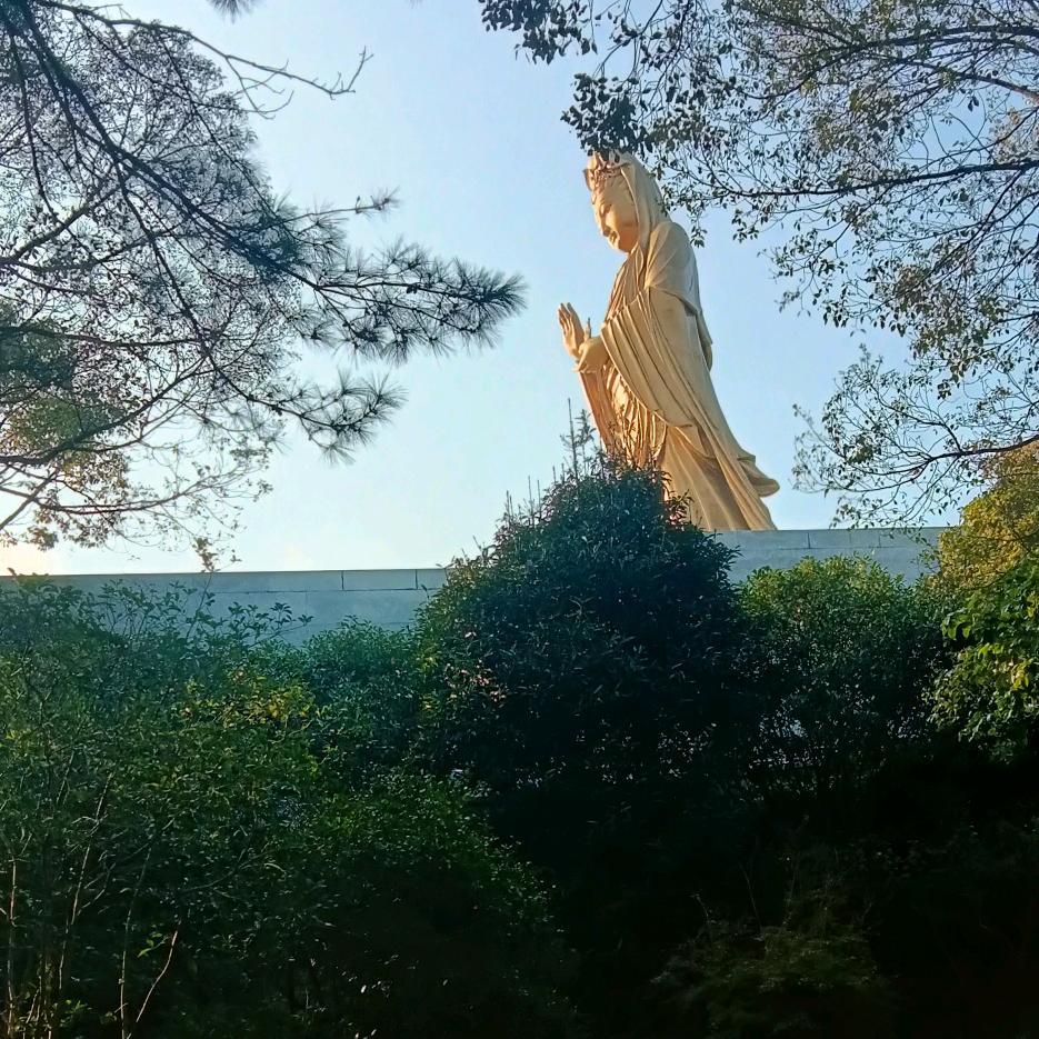远大商贸