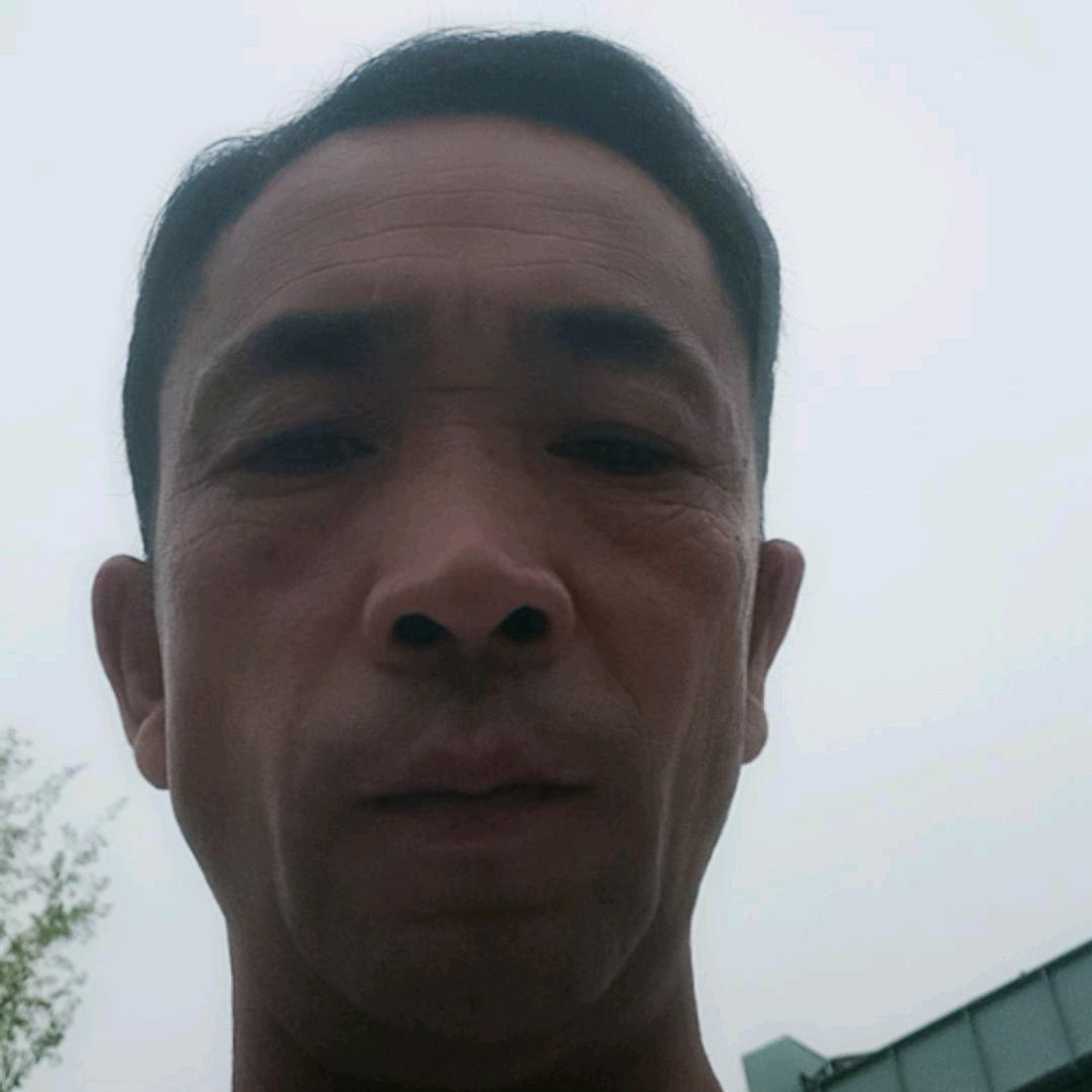 杨则红