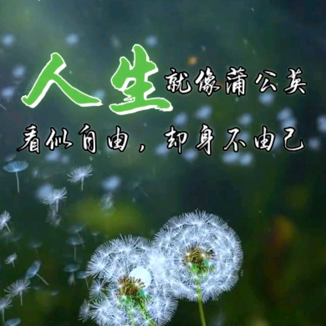🍾微🍋笑🌿钱🍒行🍹