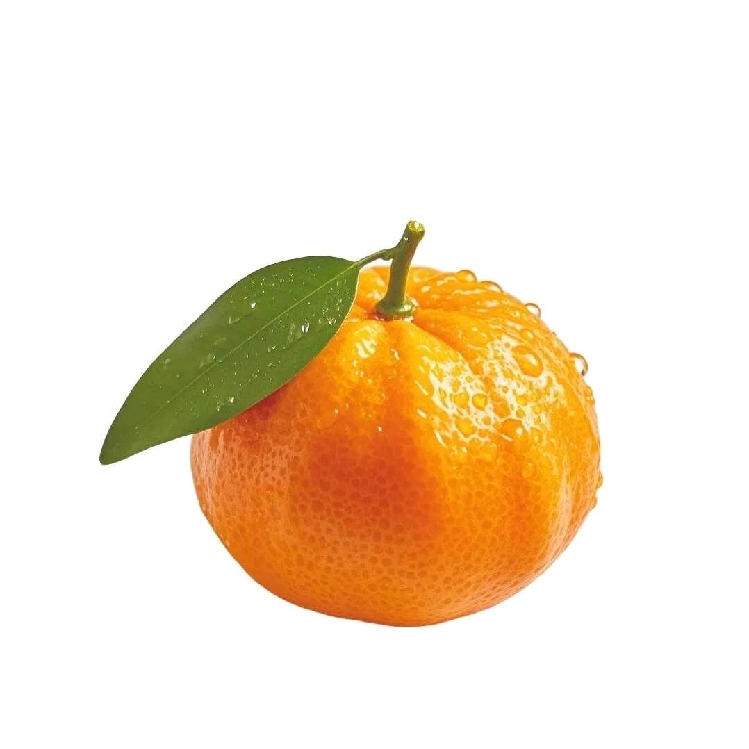 我不是栗子果