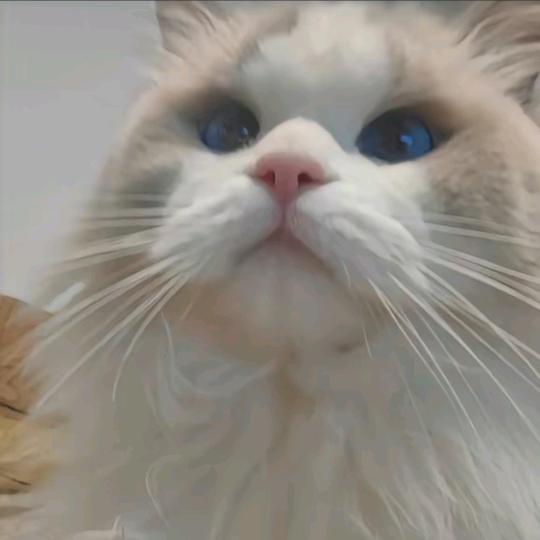 悠悠ʸ