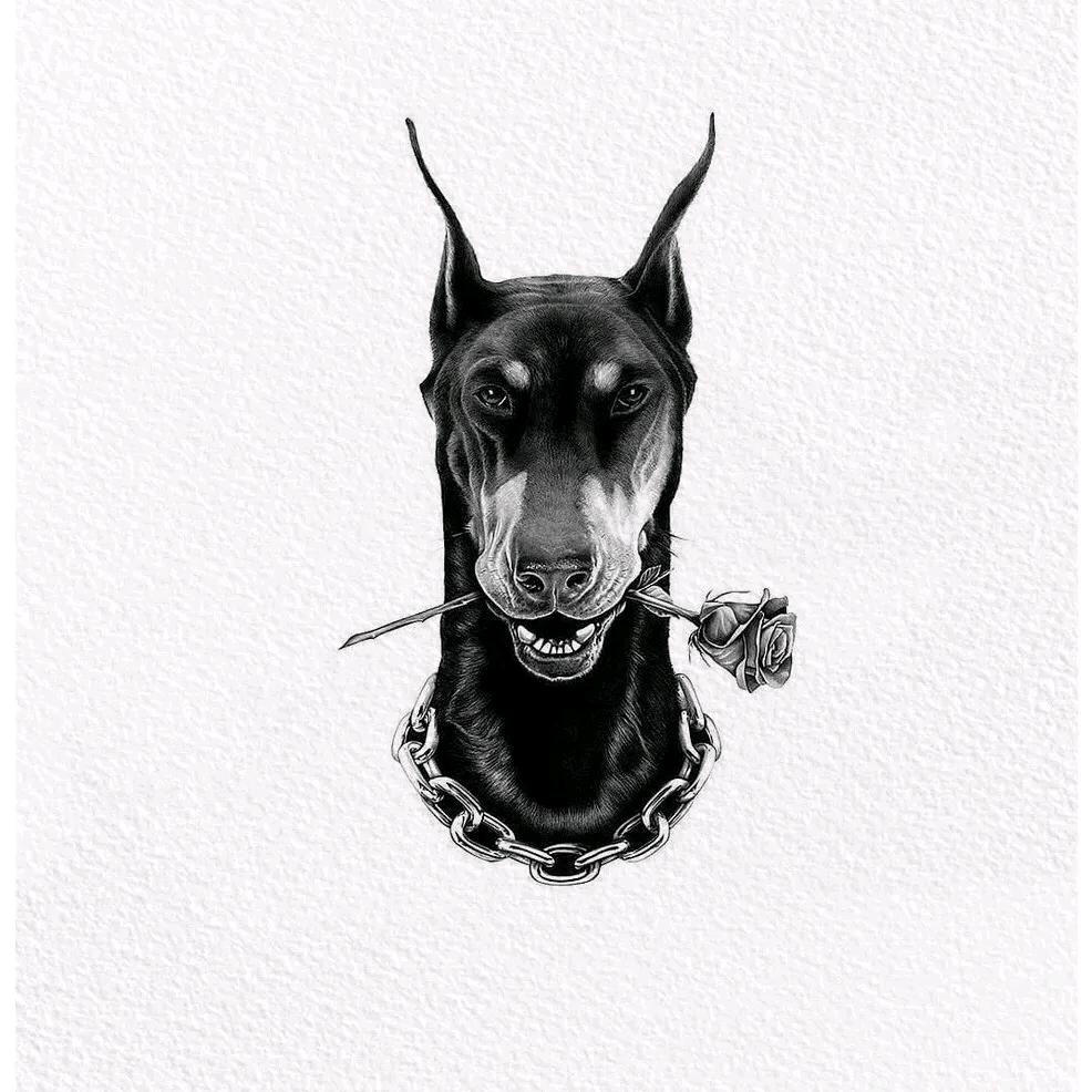 杜宾的日常👉专业寄养