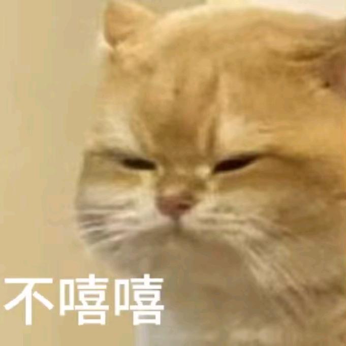 4036