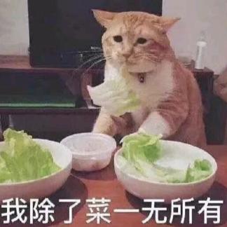 唐猫菜菜哒