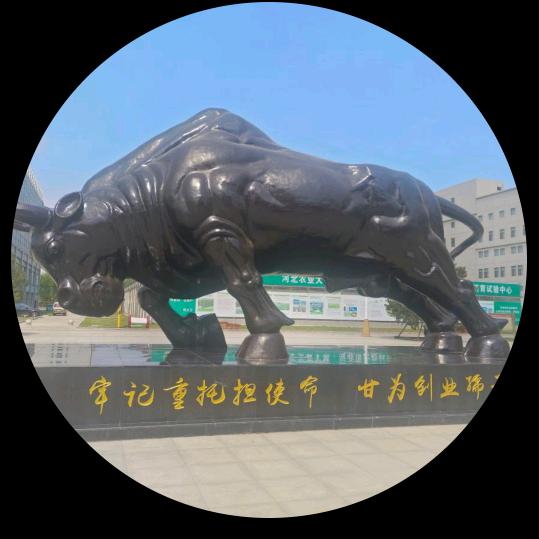 健康管理导师