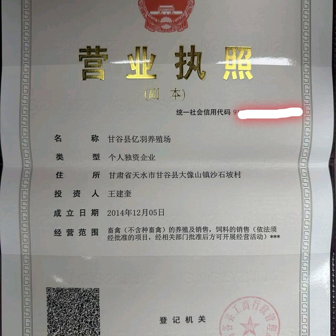 甘谷亿羽【企业号】