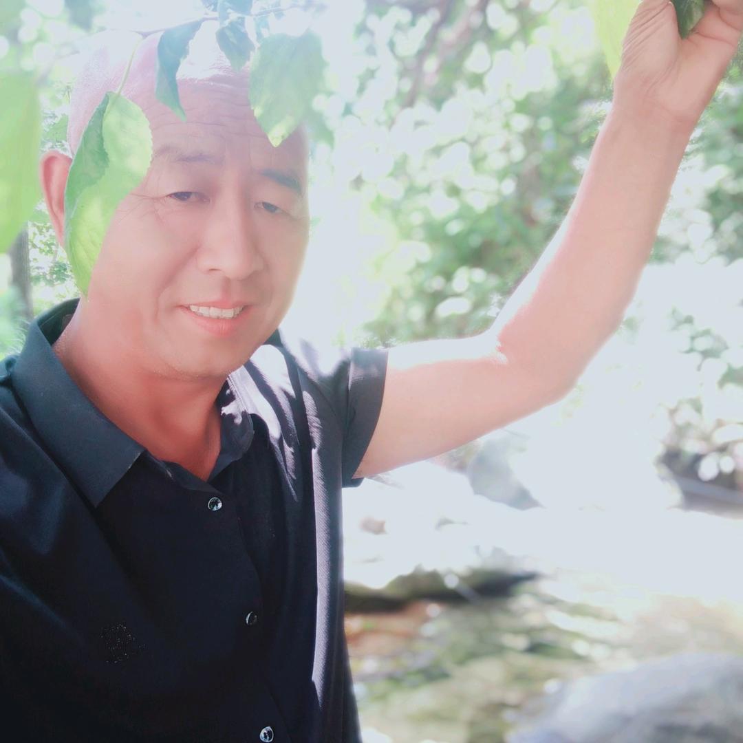 豫宝哥