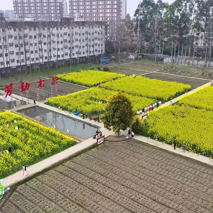 成都锦城学院农场办公室