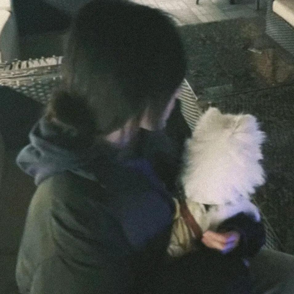 爱吃鱼的羊