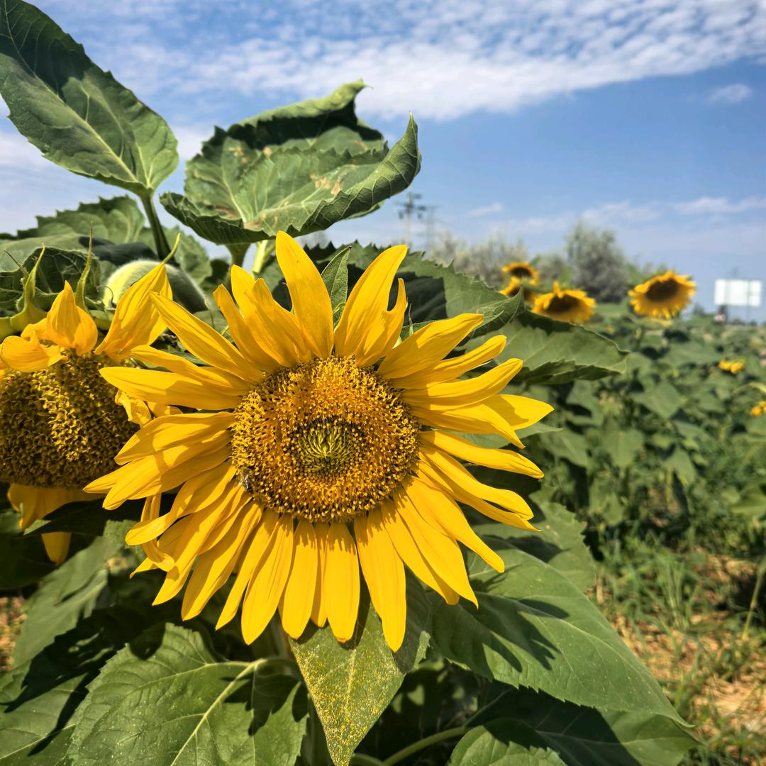 广德电镀人（金属电镀）