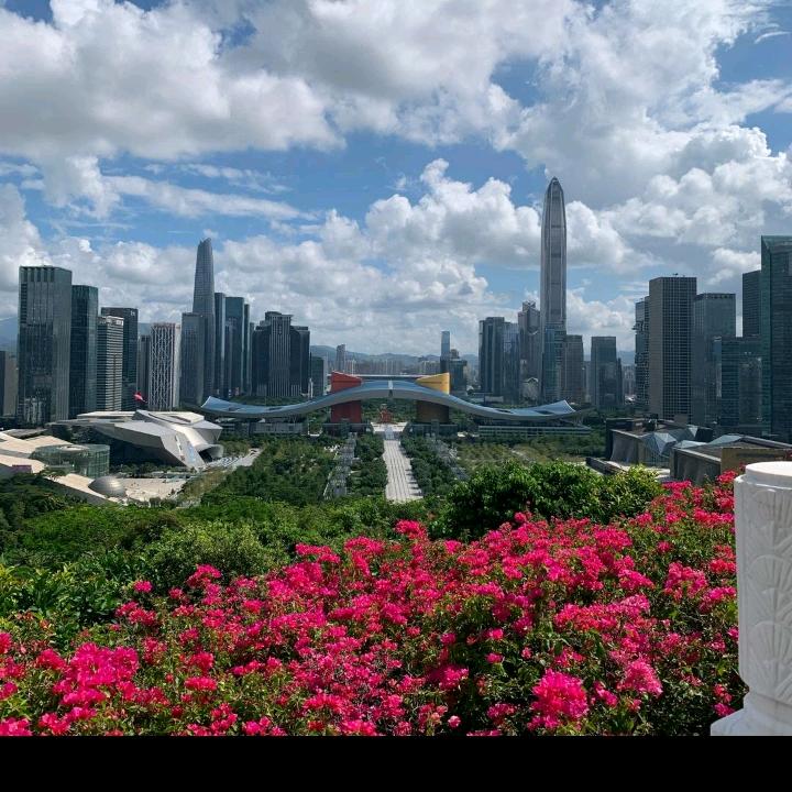 鸿运当头拍段子提材，