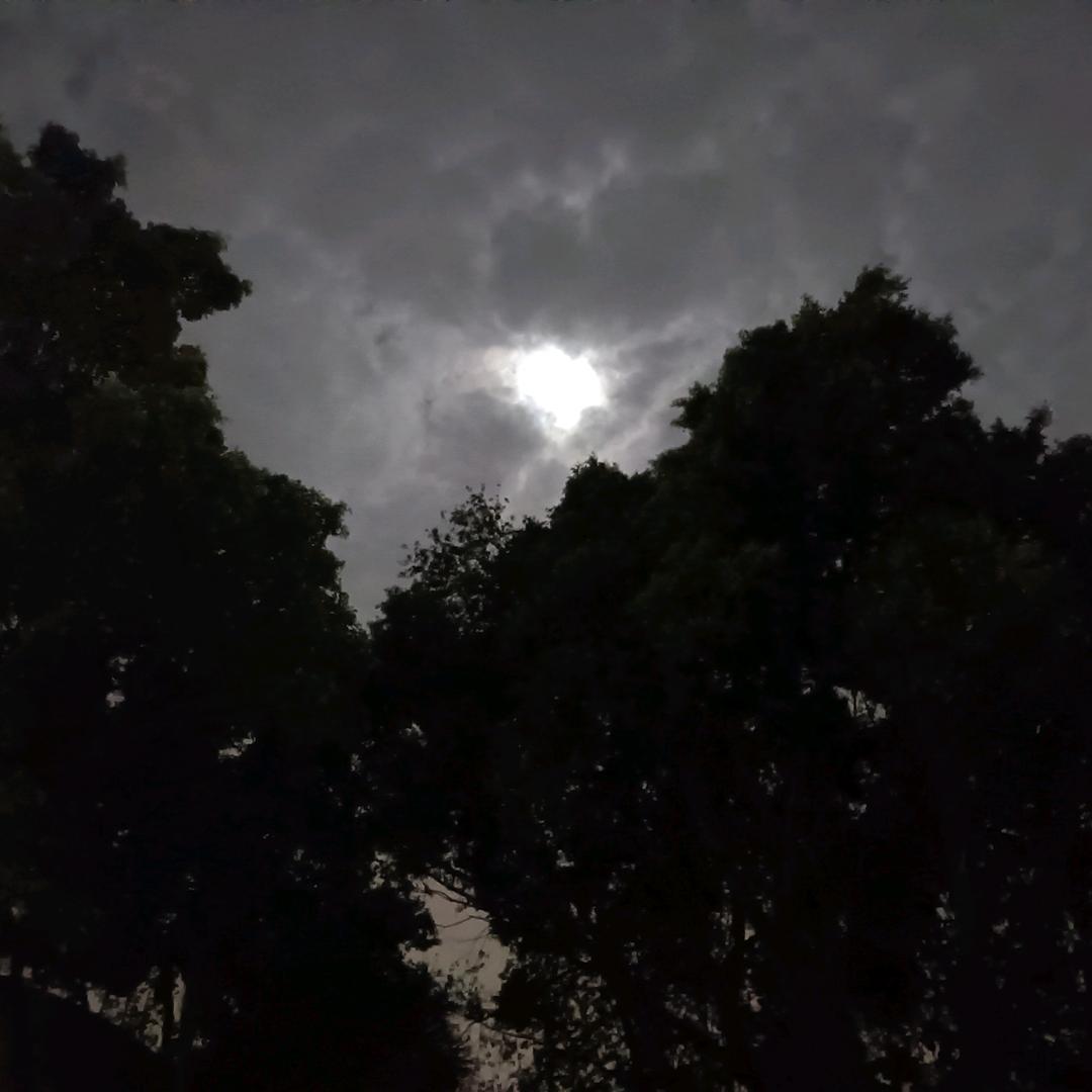 。。