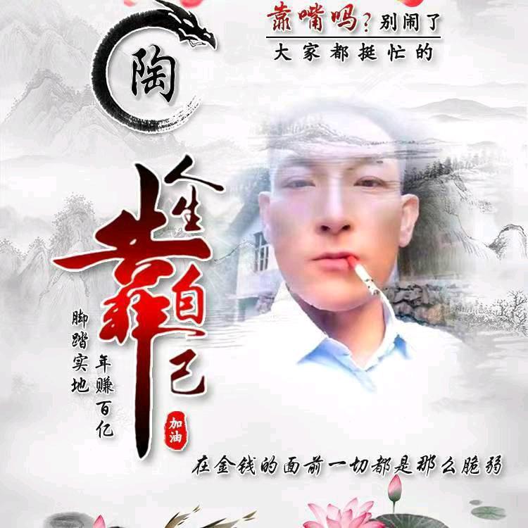 单身陶三哥