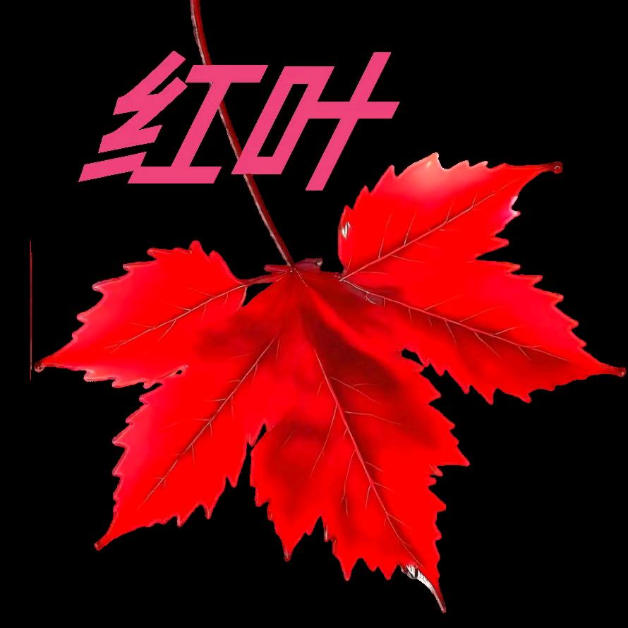 红叶🍁🍁
