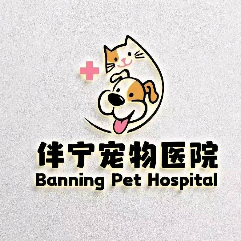 伴宁宠物医院犬科猫科