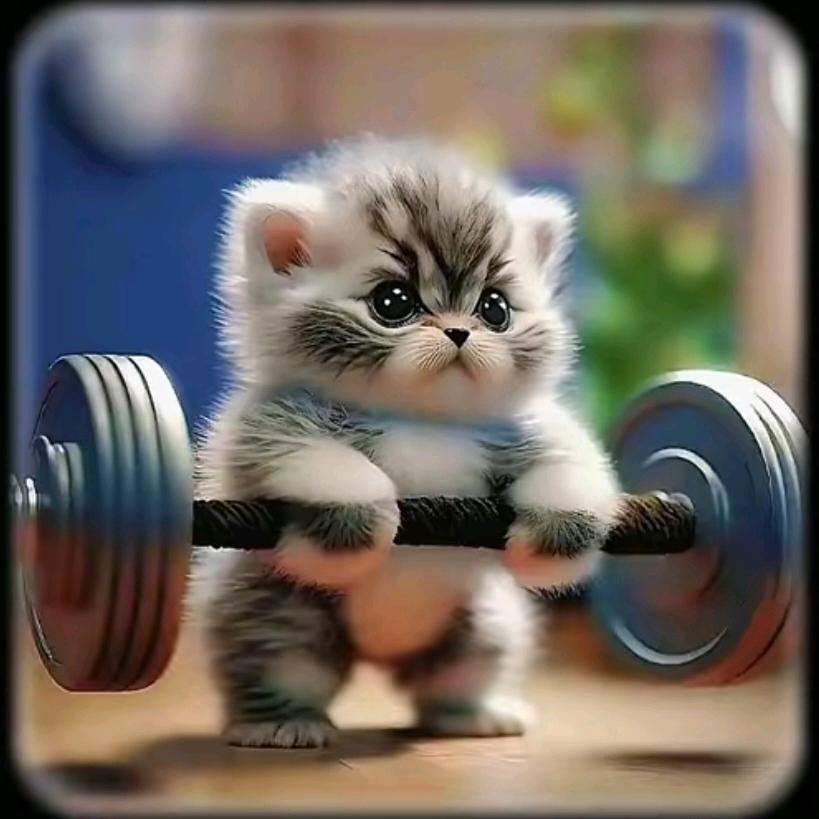 风吹走了在哪里