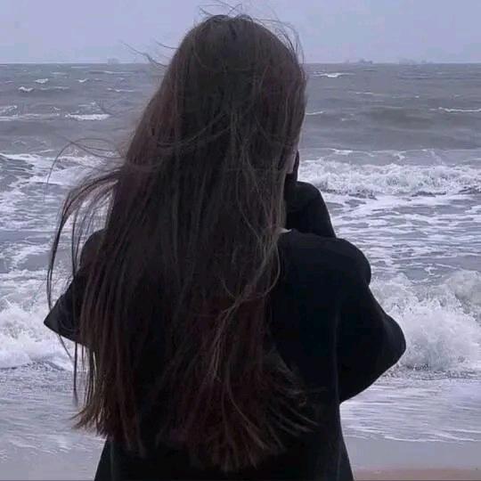 小羊着迷
