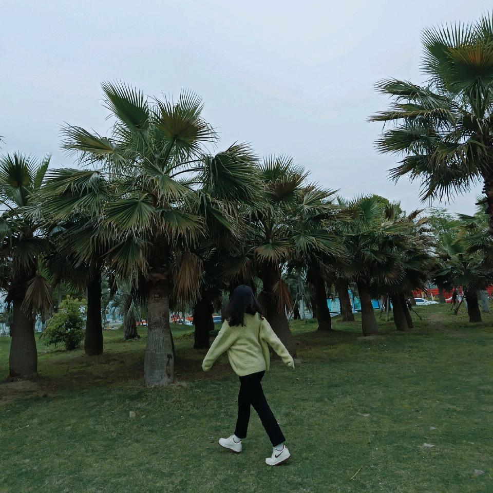 大彤宝子！