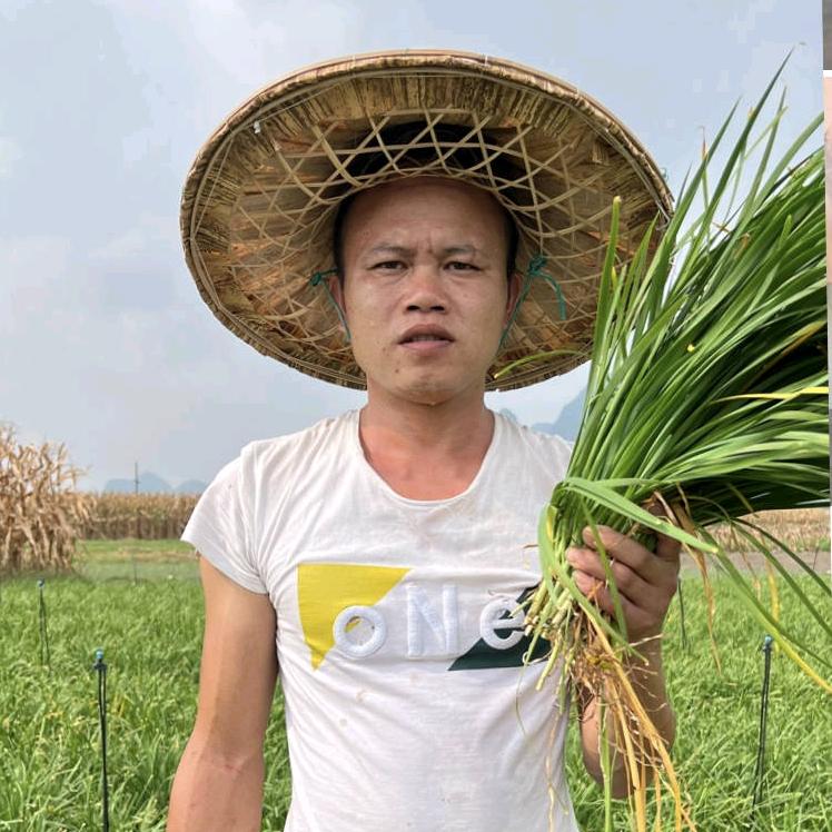 农人团（锅耳）