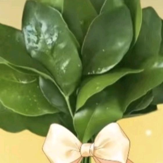 宝宝😇😇😇😇😇😌😌