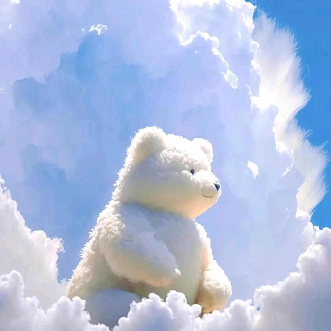 是你的小熊没错了