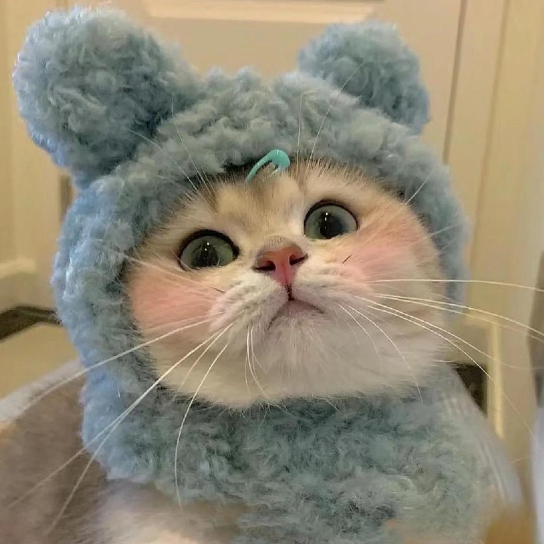 ❤️果粒陈💕