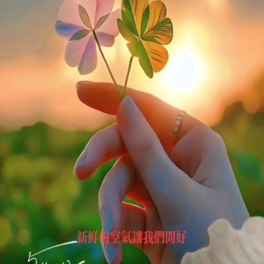 এ᭄好运🍒加满 ོ࿐ᩚ