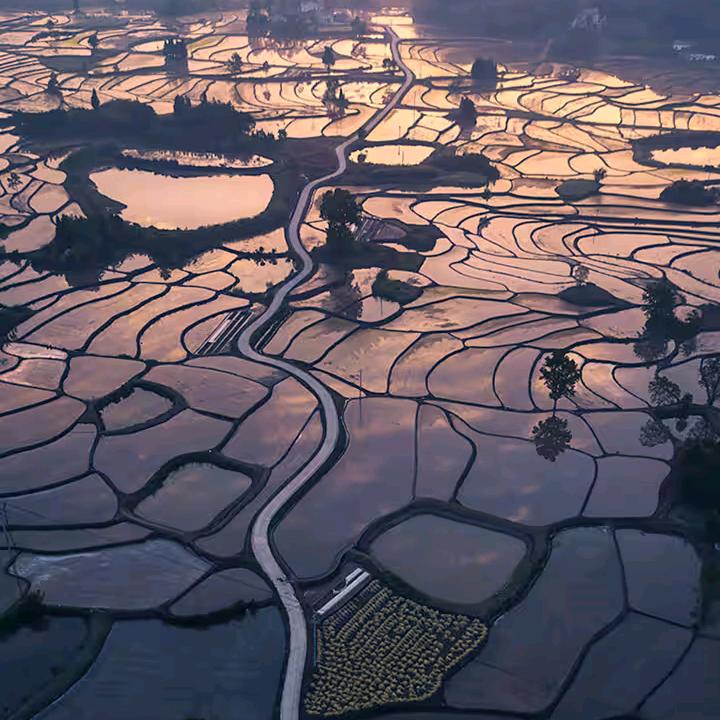春节快乐
