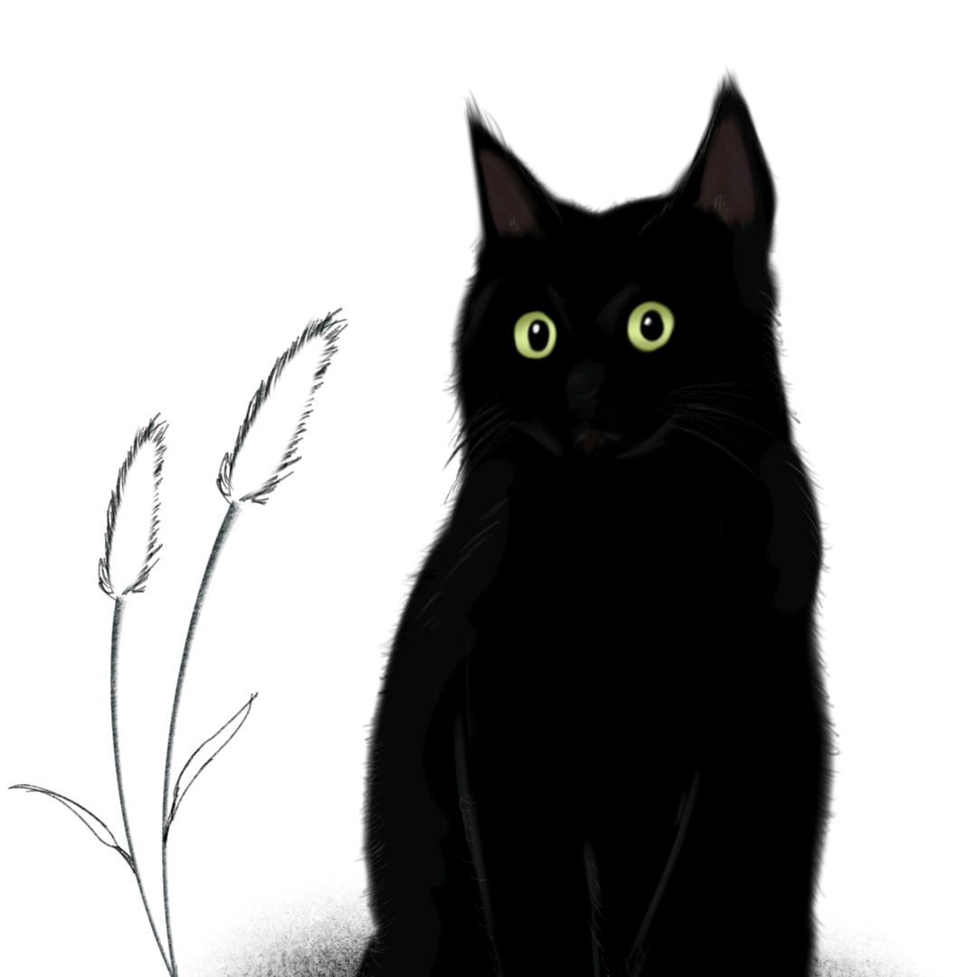 与知（Forward版）