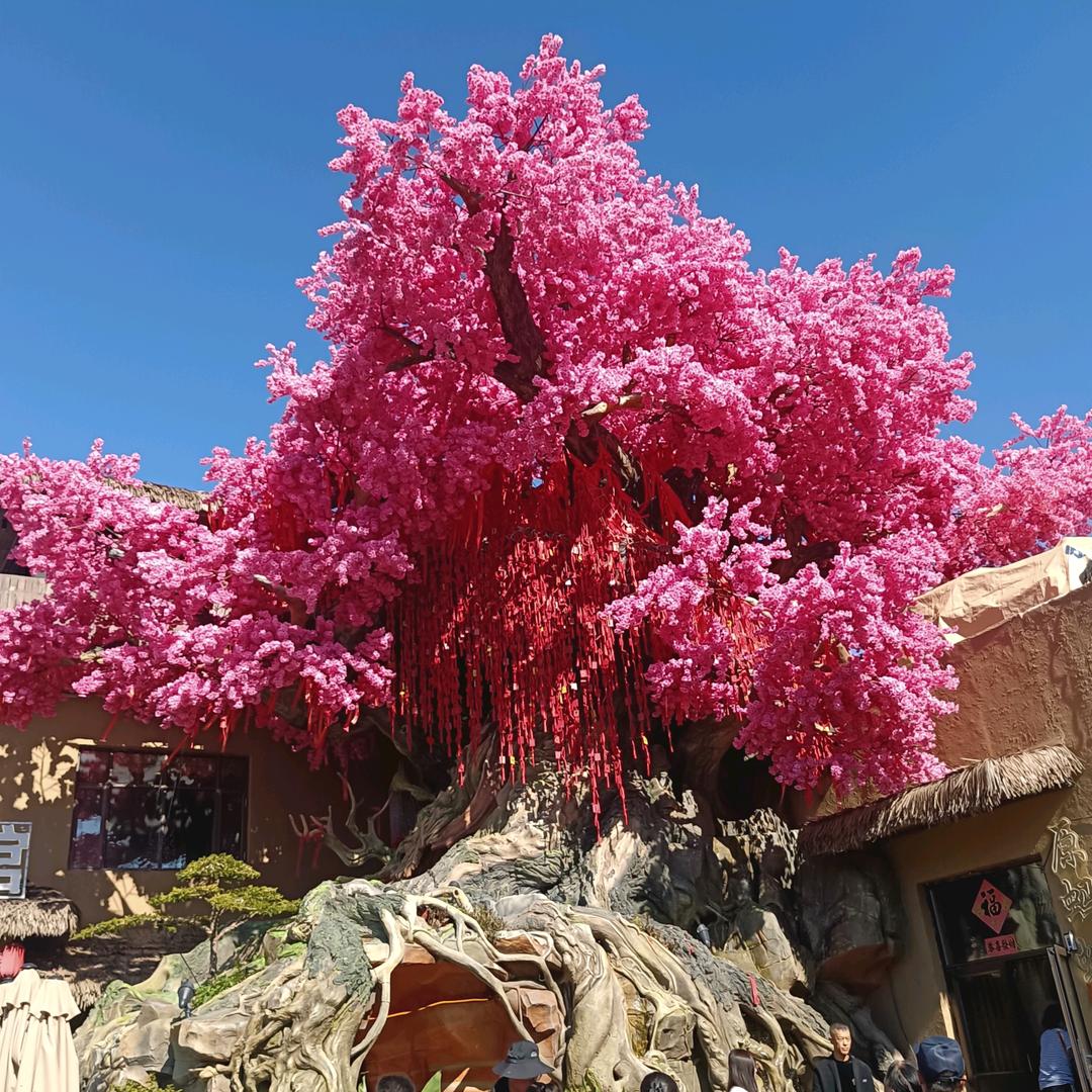 相信雨天能有🌂
